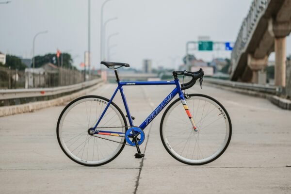 fixie2 fixie2